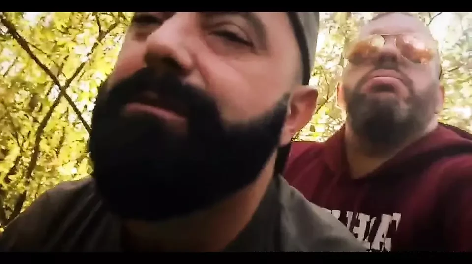 Bears Nature