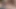 Triple oral pleasing from large breasted subsluts