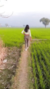 Pratinjau video