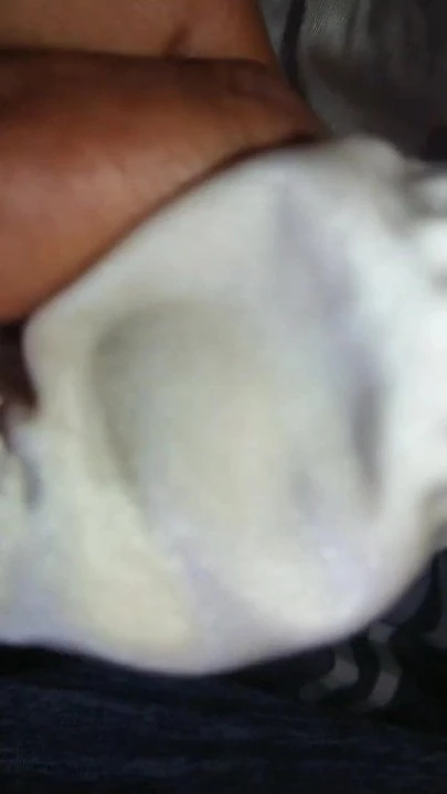 cum in brother wife's panty