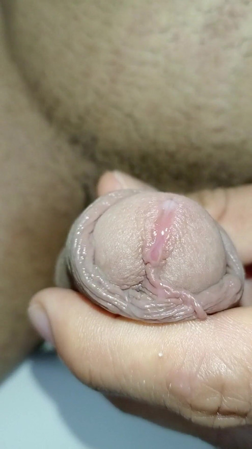 HANDJOB IN PUBLIC BATHROOM WITH TOILET PAPER ROLL, BIG COCK AND VENOZA, GAY SUBMISSIVE | Clip 2