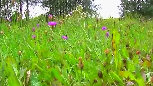 Klasik Jenna Red Sert Emiyor Ve Biniyor