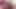 Horny morning wood sounding my hard cock