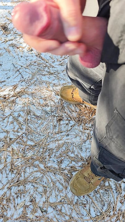 Outdoor stiff mushroom tipped cock