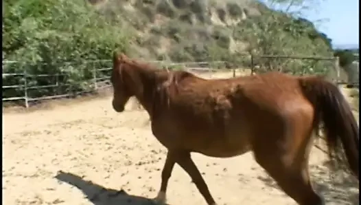 Angry blond beauty decided to give some lessons to her negligent riding ...