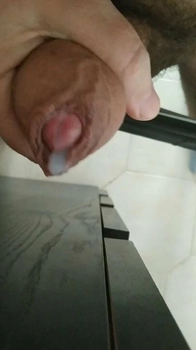 Greek bear cock