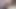 Mature bride with a fat ass, big tits at a home photo shoot. Chubby MILF in veil, sexy lingerie backstage. PAWG behind the scene