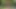 Çıplaklar dışarıda dolaşıyor