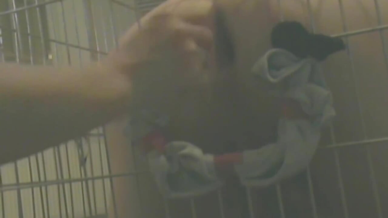 Slave in Cage Gets Anal Used