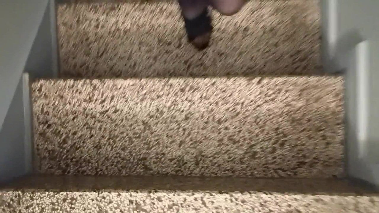 Tranny at Stairhouse