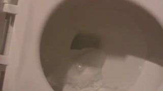 Taquinage dans la salle de bain