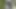 Milf Julie spritzt im Wald draussen