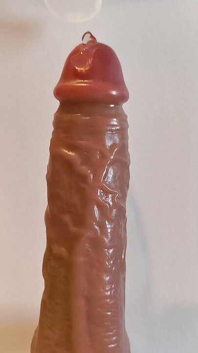 Táta miluje ptáky a robertky