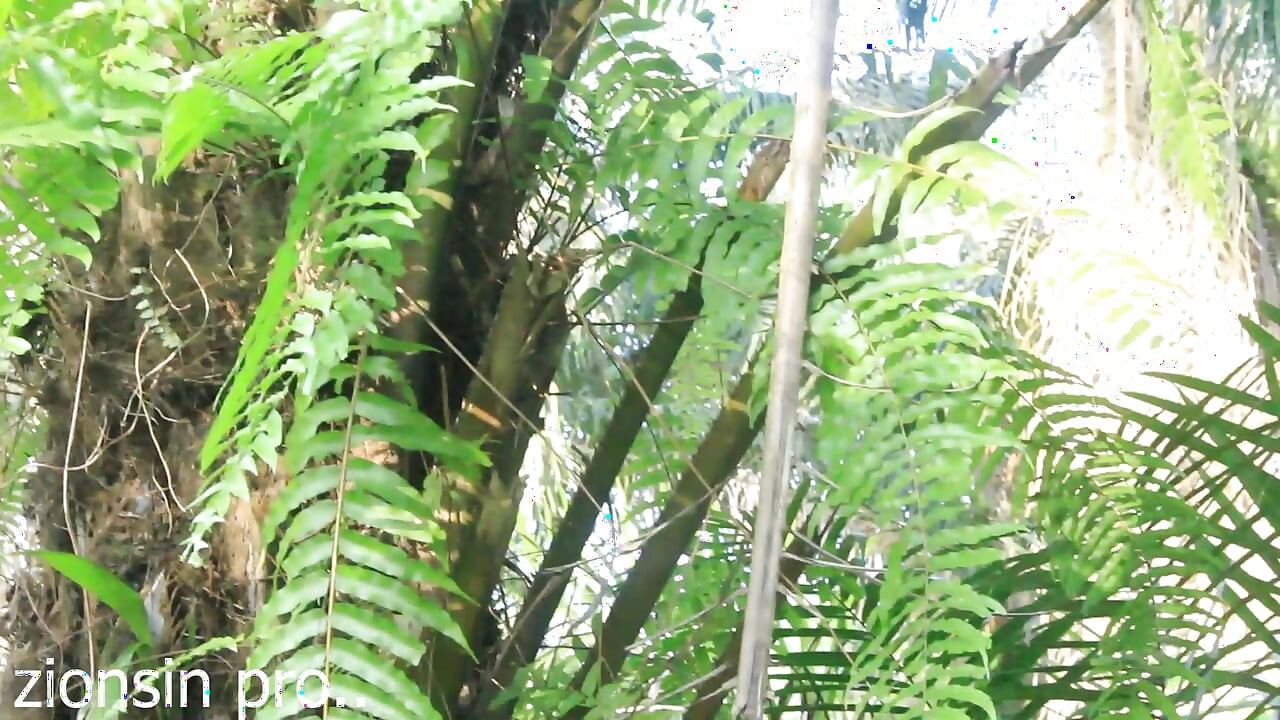 Afrikanische liebhaber im busch ficken