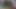 ヒューマンモルモット - デイジーマインクス