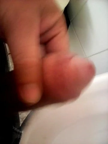 Otro tributo a noelle