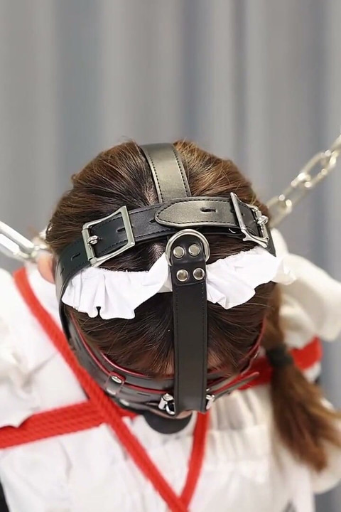 The Maid's Various Restraints