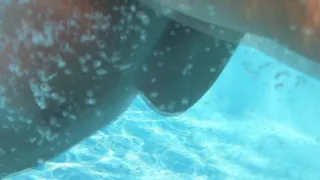 mature underwater in swimming pool