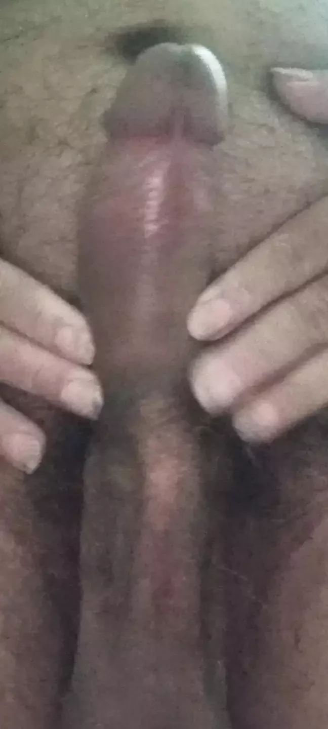 VERY THICK PENIS A MACRO