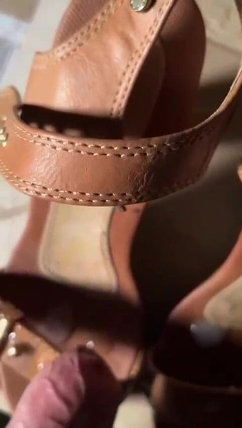 Injected into the neighbor's shoes