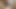 彼のチンポをしゃぶる
