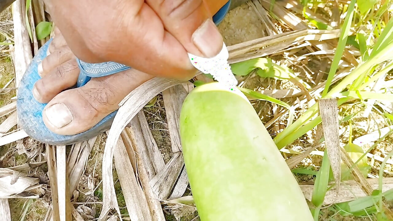 Wheat fields in mustard fields. Fuck my ass big cock vegiteble sex
