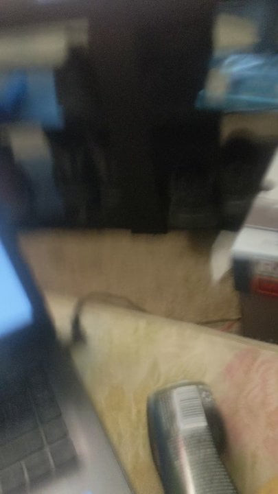 Porn day