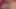 She got fucked rough in her pink room
