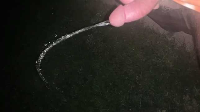 BIRTHDAY Pissing HARDON