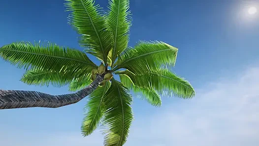 Zack Island Paradise