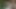 この大きな自然な胸は公園でセックスするのが好きだ