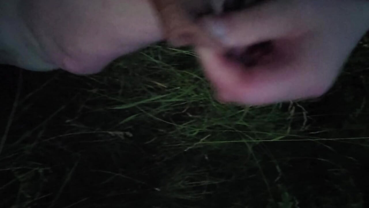 Nice Wank in the Park