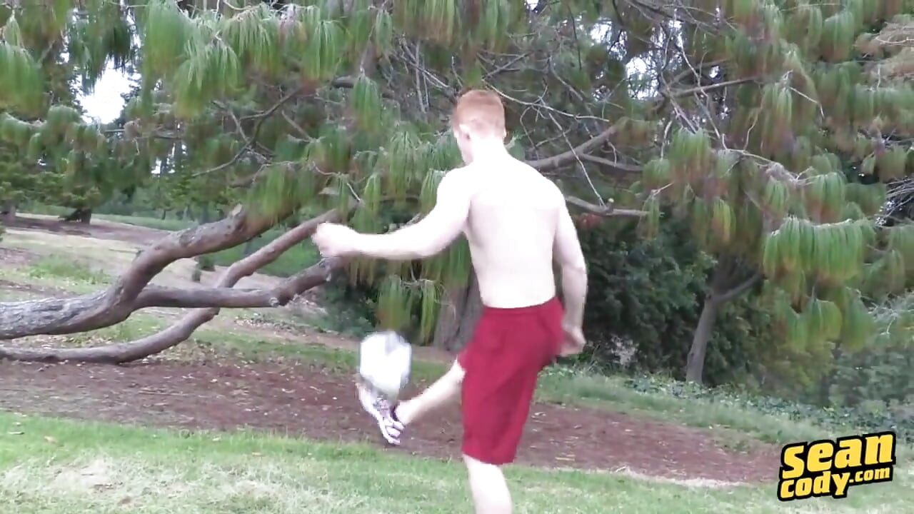 Seancody - Shey