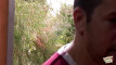 Pregled videozapisa