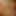 Kaci Starr, Mike Angelo ve Marco Banderas tarafından Toni Ribas ile grup seks yapıyor, anal, çifte penetrasyon, döl yutma