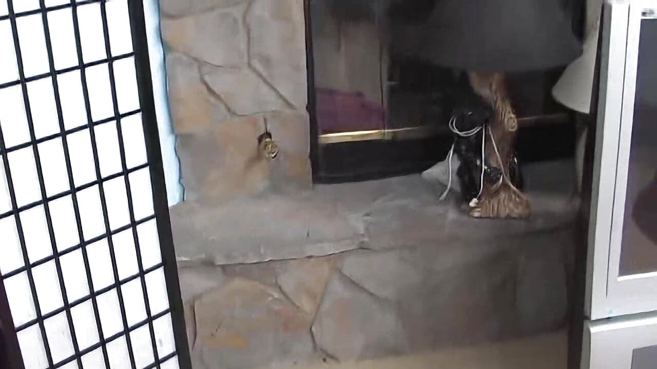 내 핫한 마누라에게 올해의 최고의 펠라