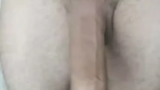 benim Alman büyük horoz