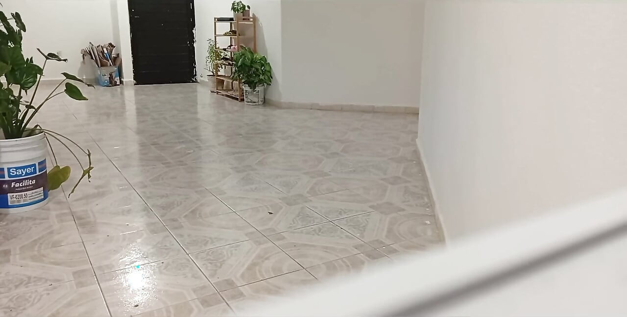 Tetangga gemuk membersihkan apartemen barunya