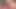 I want someone to suck my big cock