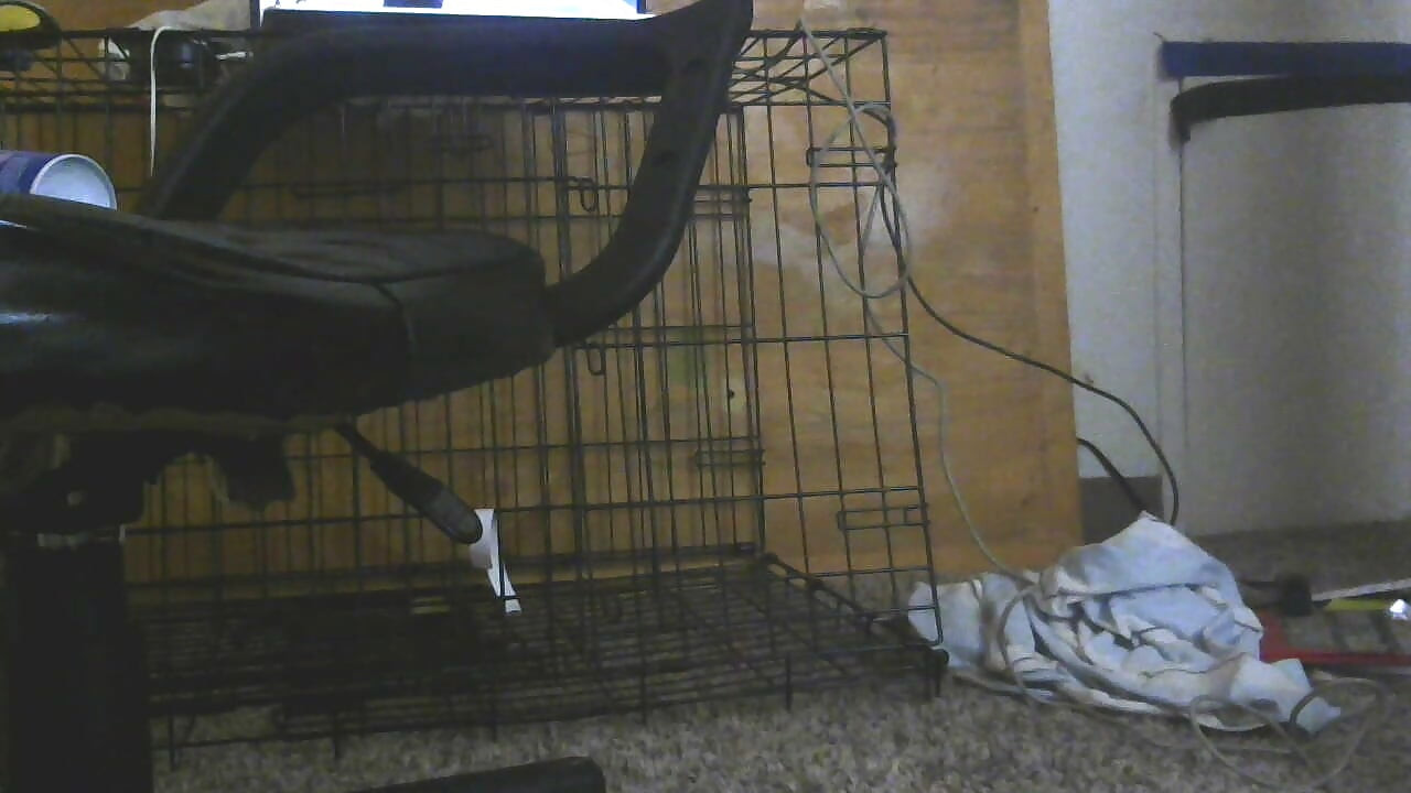 このお尻、くそったれ!