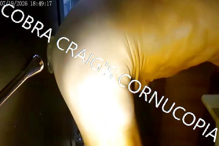 7-19-2026 TAKE IT FUCKIN EASY COBRA.mp4