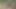 Azgın genç bir çift için açık havada tehlikeli seks