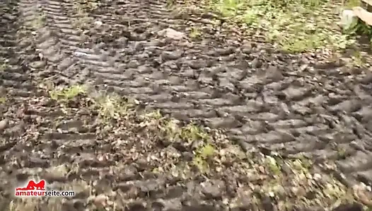 Vielfältiges Vergnügen: Abwechslungsreiche Szenen