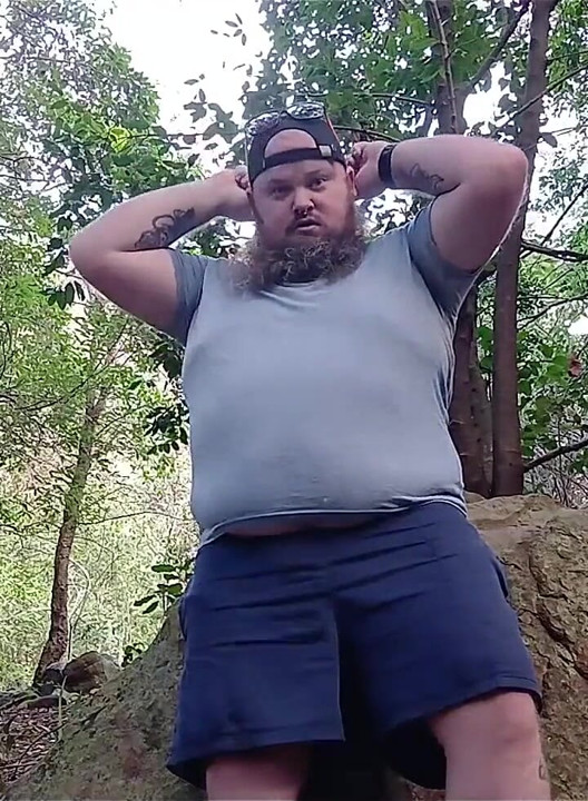 Bear in the Woods