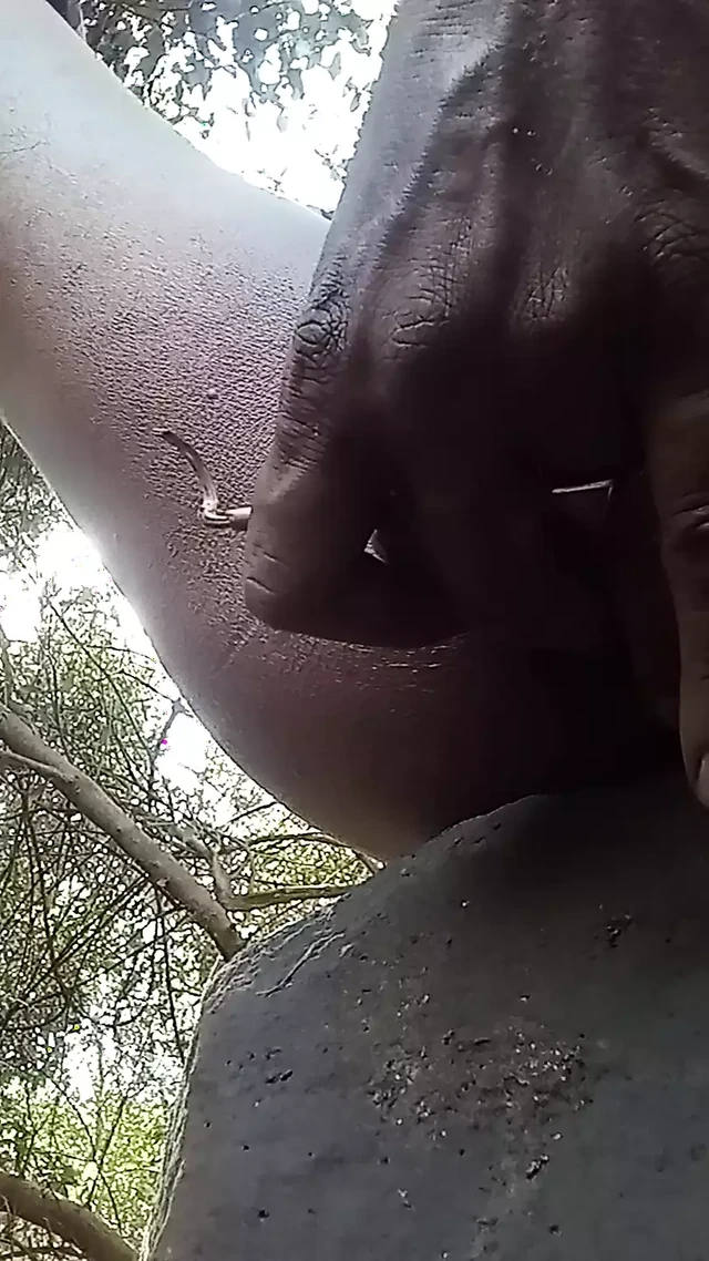 Wow desi fuck #