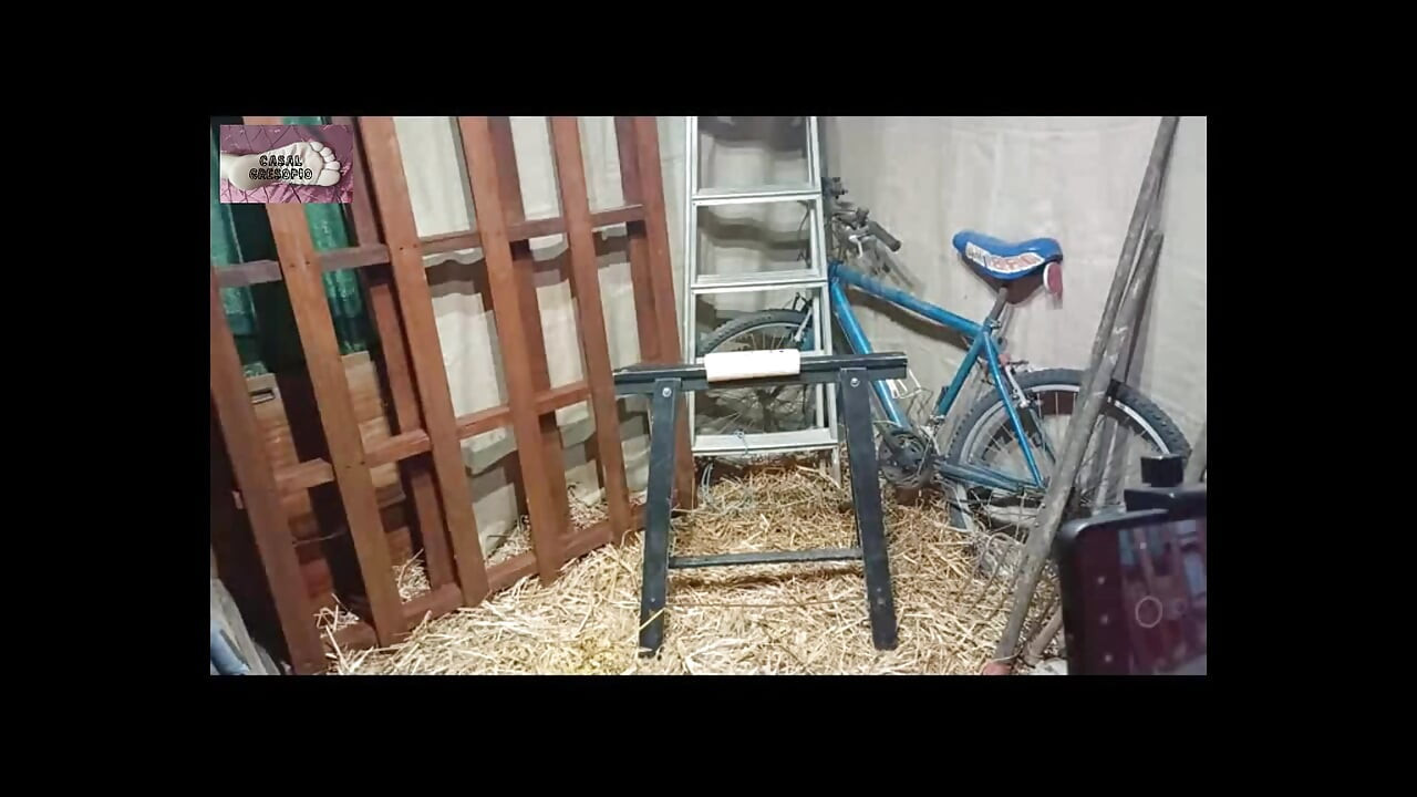 Haystack में पिटाई