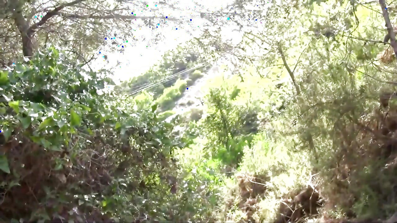 Zapanjujuća gola plavuša divlje jebana u guzu u šumi