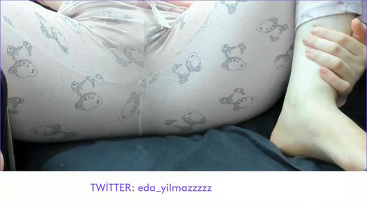 Pregled videozapisa