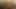 Sexy Southern Muscle Bear raw fucks beefy latino stud cumshot