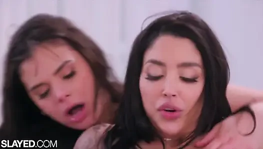 Eingefärbtes violet &vanessa verschlingen mehr als ihr picknick